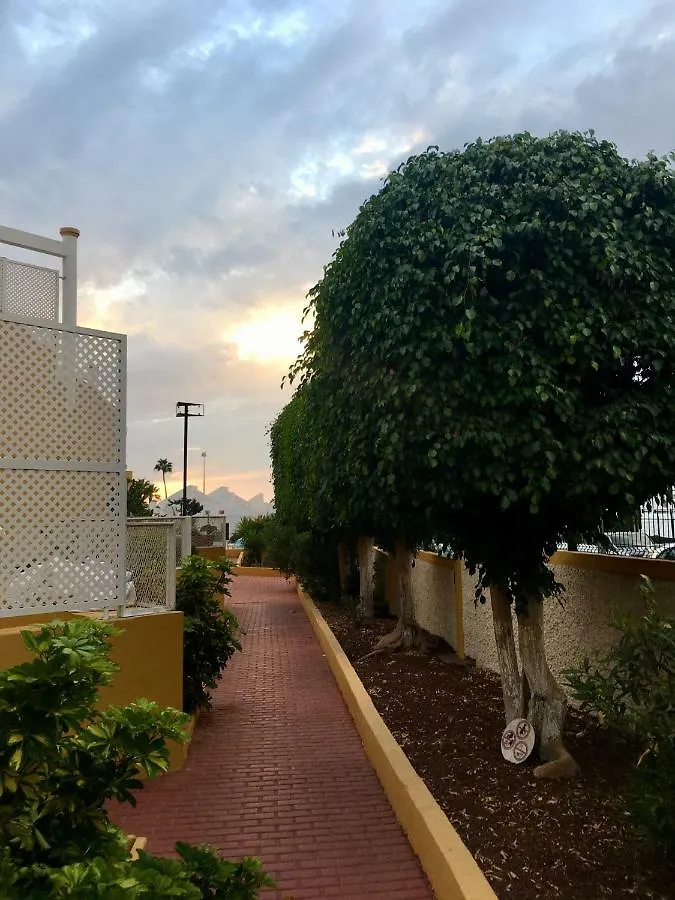 Orlando Tenerife Apartment Costa Adeje